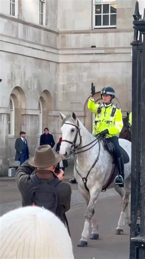 Mounted Police Officers in Action