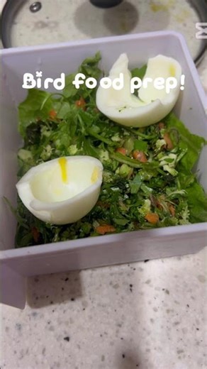 Making bird food! #birds #cockatiels #foodprep #healthypetfood #cooking