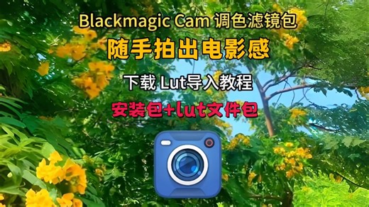 最新blackmagic camera调色包来了，全网最全的lut调色包，附带教程，小白也可以轻松学会，随手拍出大片感！