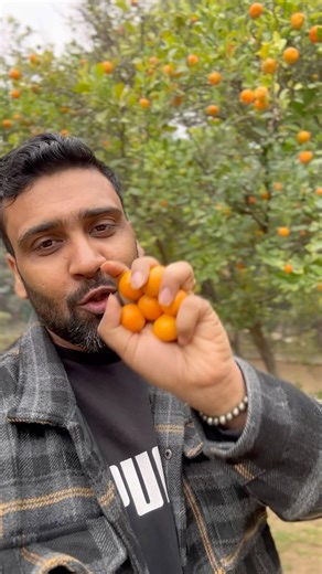 Taj Damdama Lake Resort & Spa, Gurugram #ytshorts #tajdamdam #staycation