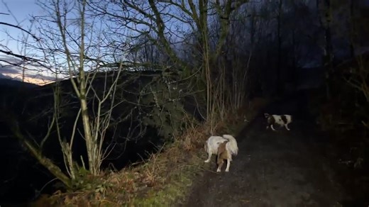 Max Out in the Lake District on Reels