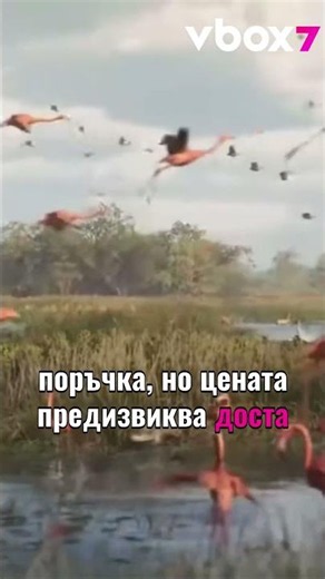 99.99 евро за GTA 6 ?! #vbox7 #gaming #gta6 #preorders