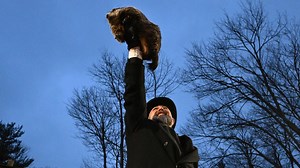 9.8K views · 516 reactions | An early spring is on the way, according to Punxsutawney Phil. | USA TODAY | Facebook