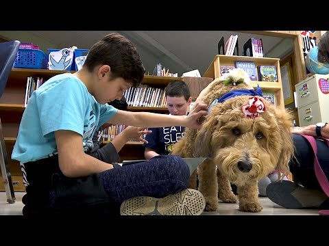 This Non-profit Helps Kids Gain Confidence by Reading to Dogs | All Good