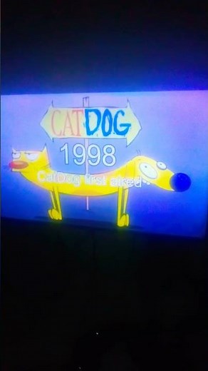 Nicktoons History part 1