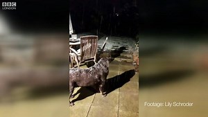 108K views · 4.4K reactions | ❄️ It's started snowing in London, we'd love to see your photos & videos ❄️ | BBC London | Facebook