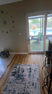 🔥 Infrared cameras are powerful tools — but not magic! 🔥 They can’t see behind walls or even through glass, as you’ll see in this video. Infrared helps us detect temperature differences, not what’s hidden beyond solid surfaces. 🎯 For thorough, accurate home inspections — using the right tools the right way — call 2020 Inspection Solutions today! 📞 321-877-6247 🌐 2020inspectionsolutions.com | Jay Peters