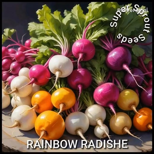 Rainbow radishes are a mix of colorful radish varieties, such as red,...