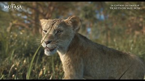 Every Scar has a story. Discover how a prince became a villain in Disney’s #MufasaPH: The Lion King. In cinemas December 18. Tickets on sale here: https://disney.asia/8ftJdH. | Walt Disney Studios