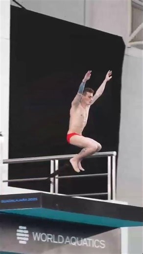 The Dive That Went Viral in Seconds!