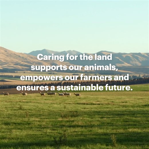 1.3K views | From farm to plate, our Net Carbon Zero beef and lamb are New Zealand's first certified Grass-Fed, sustainable red meat. We support and incentivise our farmers to protect, restore and increase native bush and tree plantings.  | Silver Fern Farms | Facebook