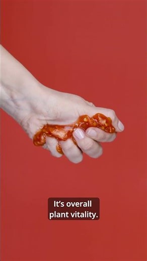 Why Brix Matters: What It Tells Us About Food Quality