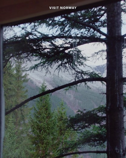 1.4K views · 1K reactions | Wood you stay here? Norway´s wooden architecture is treeson to go! 蝹 | Visit Norway | Facebook