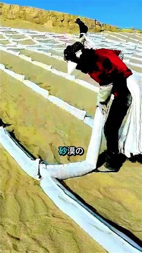Stopping the Desert with Sand!? The Incredible Truth