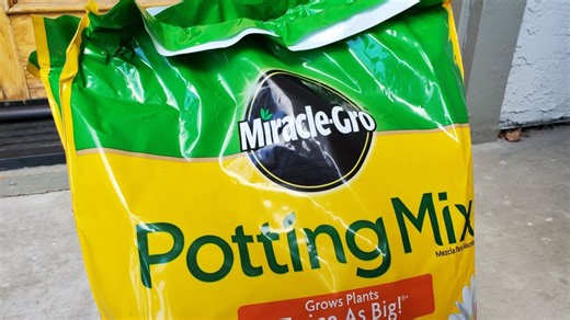 Scotts Miracle-Gro CEO says cannabis business is ‘mostly off the table’