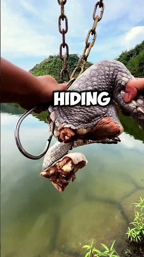 They Use These Creepy Claws to Catch Giant Fish! #fishing #fish #fishingvideo