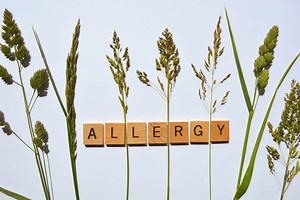 Allergy & Asthma in Dubai