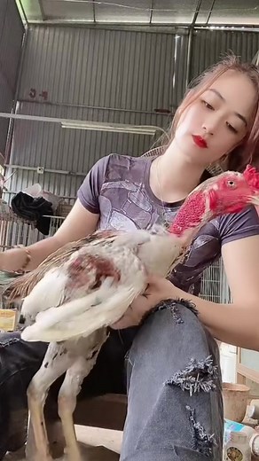 SR.rehan.aseel.07 on TikTok