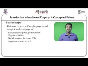 Introduction to intellectual property: a conceptual primer