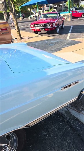 1967 Ford Fairlane 500