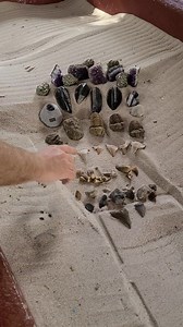 WE ARE SO PUMPED! Fossil Mania is the first event like this that we're doing and we couldn't be more excited! Come this Sunday for fossil digs like never before! | Dinosaur World, Florida
