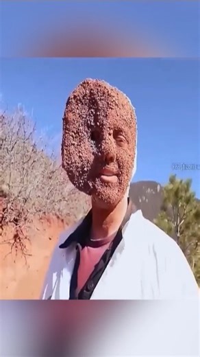 The hide-and-seek master challenge and $10,000! #shorts