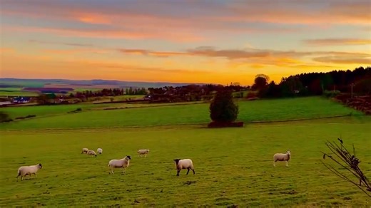 20K views · 1K reactions |   We have to protect British farmland. Because once it’s done, it’s gone forever  James Melville | FarmingUK | Facebook