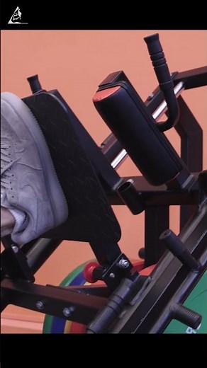 Syedee Leg Press & Hack Squat Machine DD06 Product Overview #syedee #legpress #fitness #hacksquat
