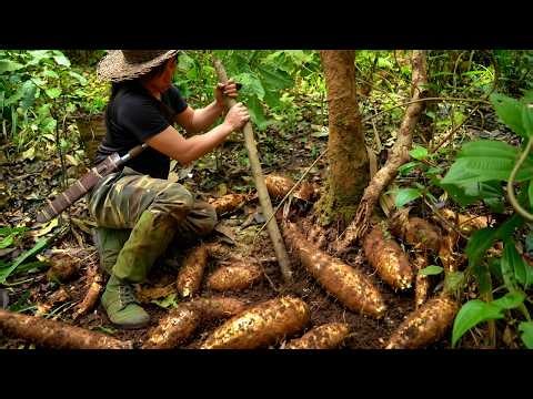 Foraging for wild food, cooking outdoors - Shelter in the forest, surviving alone