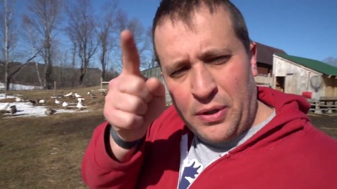 Tractor Supply’s New Brooders: Farm Problems