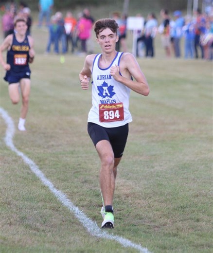 Adrian girls come up just short of podium finish at Division 2 cross country state finals