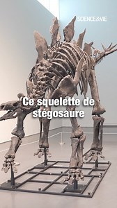 13K views · 77 reactions | Science & Vie on Reels | Facebook