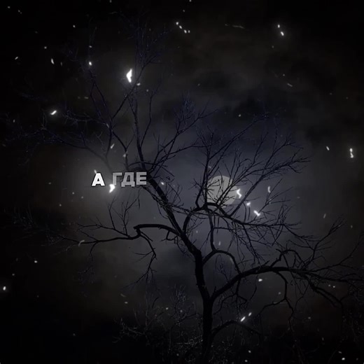 Speed Songs with Lyrics - Music Video Montage