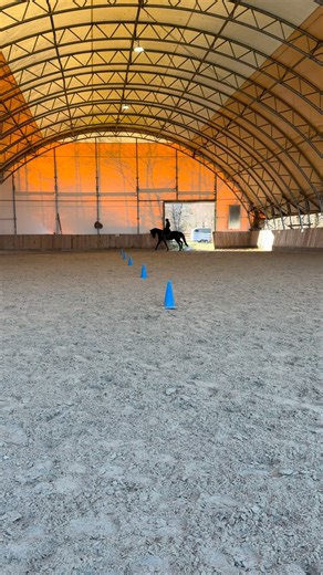 Livi Glaser on Instagram: "🚪 Door 18: We start with Tempi lead changes 🤩. Starting the tempi lead changes demands a bit of concentration and practice in counting. We start with 4 tempi changes in the simple weave pattern from working equitation. The cones have 6m distance. Door 12 is the prefect preparation because you can move the shoulder out of the way, that’s why the simple weave can help, because you have to steer and move the shoulder. 🥳 #tempichanges #warmblood #weave #counting #rythm"
