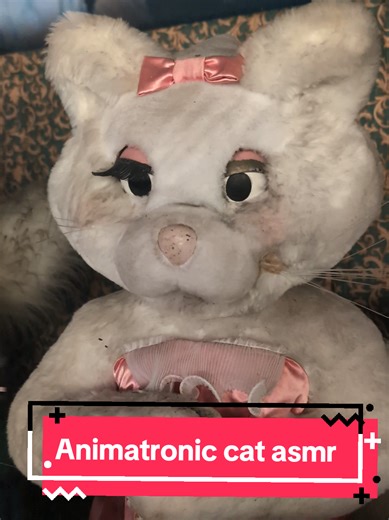 ASMR Glass Tapping Sounds at Watermouth Castle