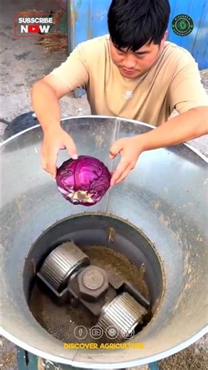 Amazing Pellet Feed Making Machine