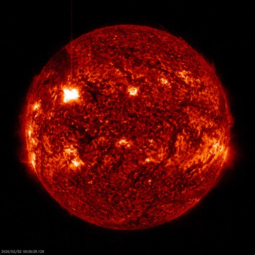X8-class Solar Flare Detected | NASA’s Solar Dynamics Observatory FriendsofNASA.org | Full-size images: https://www.friendsofnasa.org/2026/02/x8-class-solar-flare-detected-nasas.html This image is an extreme ultraviolet view of the Sun from NASA’s Solar Dynamics Observatory (SDO). It shows the bright flash of a X8-class solar flare on the Sun’s upper left side. The rest of the surface is mottled with darker and lighter regions, and faint loops of solar material can be seen extending off the Sun’