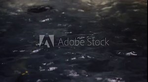 Close up of fast flowing water sloshing from basin of waterfall at night - Fresh stream generating eco friendly hydropower energy - plunge pool, outdoors nature and cave lagoon waves concept Stock Video