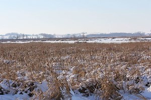 Theresa Marsh - Alchetron, The Free Social Encyclopedia