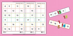 Missing Number Tracks 0-20