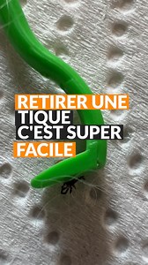 Retirer une tique c'est Super Facile et pourtant beaucoup de personnes ne savent pas comment faire. Pas besoin d'être un Expert et encore moins de devoir aller chez son vétérinaire pour le faire. * Ne dites pas de tourner à gauche ou à droite, les tiques ne sont ni gauchères, ni droitières. * Une gourme : c'est un gonflement (en Belgique) Peps & Scot 🐶❤️😉 PS: même en vacances nous pensons à vous | Peps et Scot Passion Chiens