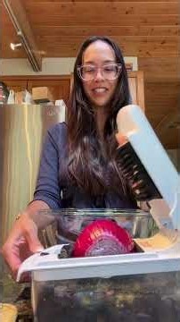 Let’s make a healthy AND easy dinner #recipe