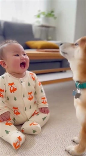パート11: 赤ちゃんとペットのかわいすぎる瞬間まとめ｜癒しと笑いが止まらない🐶🐱👶 #赤ちゃん #かわいい赤ちゃん #赤ちゃんとペット #癒し動画 #犬 #猫 #可愛い瞬間 #cutePets