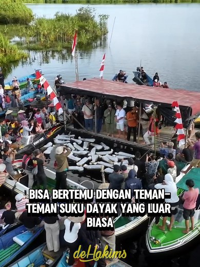 284K views · 5.1K reactions | #1 DETIK-DETIK PELEPASAN ARWANA KE HABITATNYA..!! #arowanasuperred #kalimantanbarat #arowanaclubindonesia | deHakims | Facebook