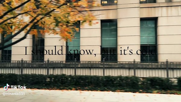 ilomilo by #bilieeilish #lyrics #music #viral #foryoupage