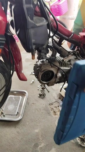 40-Piece Spline Hex Torx Tool Set for Every DIY Project