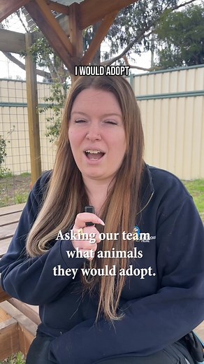 Today we're asking our staff which animals would they adopt from our shelters? There are so many cats and dogs waiting patiently to find their forever homes, please head into our shelters anytime during opening hours to adopt or head to dogshome.com for more information about adopting, fostering or donating. Source number: BR100738 | The Lost Dogs' Home