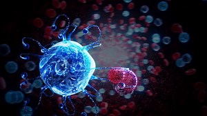 Conceptual Animation Of Macrophage Attacking Stock Motion Graphics SBV-348835906 - Storyblocks