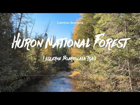 Huron National Forest in Michigan - Luzerne Boardwalk Trail [4K]