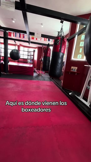 Clases de Box en Coacalco: No Hay Vida sin Boxing